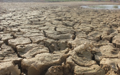 Lần đầu tiên Nghệ An công bố thiên tai hạn hán