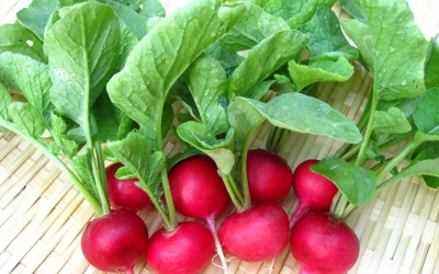 Làm đẹp từ A-Z với củ cải đỏ