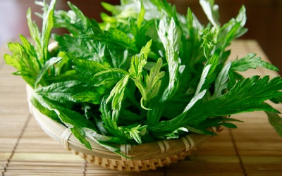 Mẹo hay sử dụng sử dụng ngải cứu để làm đẹp da