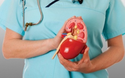 Cách để giữ thận khoẻ mạnh