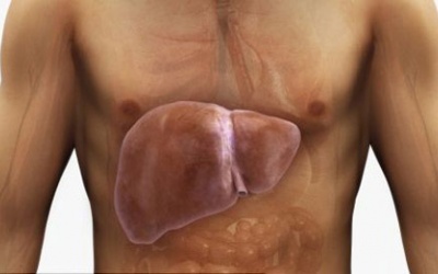 Liệu pháp giải độc gan, trị xơ gan hiệu quả