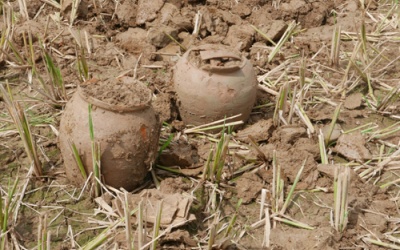 Thanh Hoá: Phát hiện cổ vật nghìn năm khi làm ruộng 