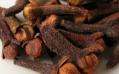 Đinh hương: Dược liệu quý cho sức khỏe