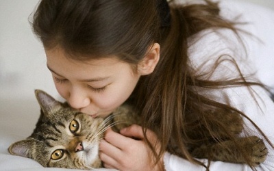 Mèo truyền bệnh... tâm thần!