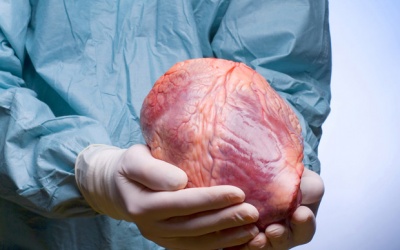 Ghép tạng ở Việt Nam: 1 người cho nghìn người chờ!