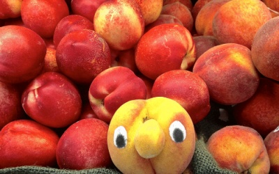 Thời của của rau xấu, quả vẹo lên ngôi!