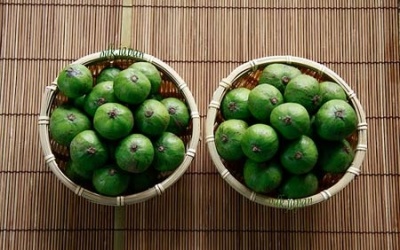 Những bài thuốc chữa bệnh hiệu nghiệm từ quả sấu nhà nào cũng cần