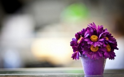 Tử vi 12 cung hoàng đạo thứ sáu (3/7/2015)