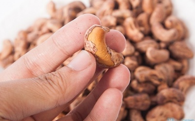 Hạt điều khô nhiễm khuẩn chưa được cấp phép ở Việt Nam