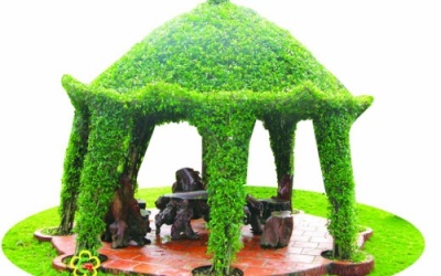 Cây xanh giúp tăng năng suất công việc như thế nào?