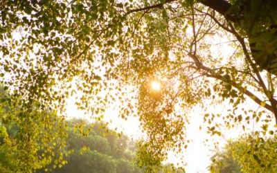 Dự báo thời tiết 10/7: Bắc Bộ có nắng nóng, trời oi bức