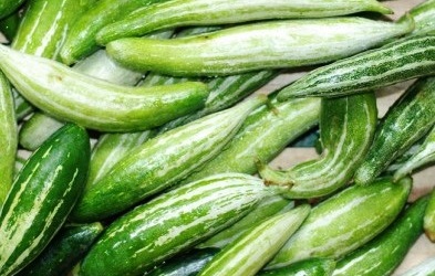 Lợi ích sức khỏe của mướp Nhật