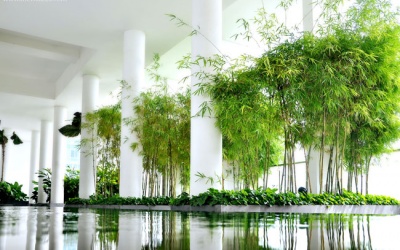 Khoảng xanh rất quan trọng cho sức khỏe