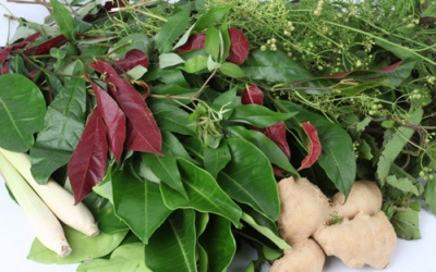 Dùng lá xông hơi giải cảm thế nào mới đúng?