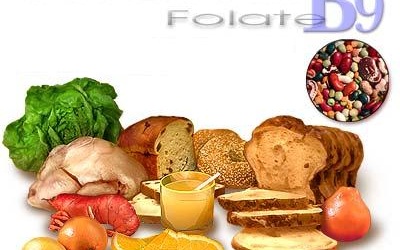 Vai trò của Vitamin B9 trong cơ thể