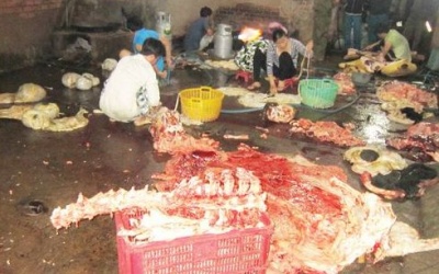 Ham rẻ lấy đâu ra khỏe!