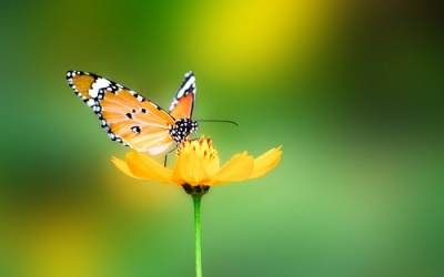 'Đừng bao giờ kỳ vọng âm đạo không có vi khuẩn gây bệnh!'