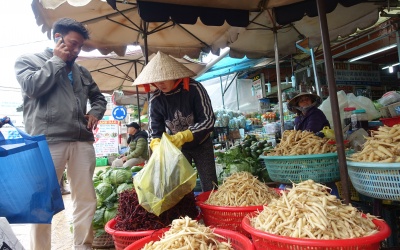 Uống nước/rượu ngâm rễ cây: Hiệu quả hay hậu quả?