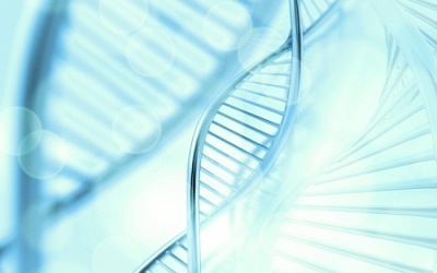 7 sự thật thú vị về bộ gene của con người