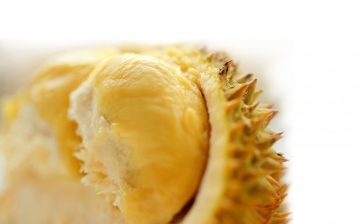 Giải mã 5 bí mật về trái sầu riêng