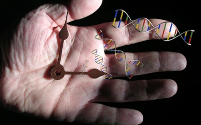 Biến đổi gene chỉ vì một đêm mất ngủ