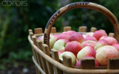 Các loại rau, củ, quả giảm cân tuyệt vời