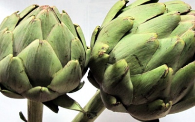 Cân bằng cơ thể bằng atiso