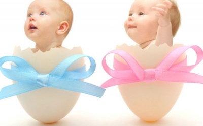 Dưỡng chất cần bổ sung từ trước khi mang thai