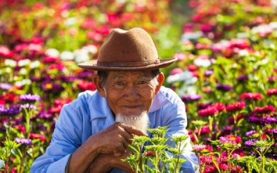 Làm gì để giúp người cao tuổi sống vui và sống khỏe?