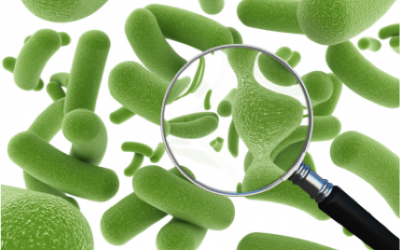 Nên bổ sung probiotics từ thực phẩm hay TPCN?