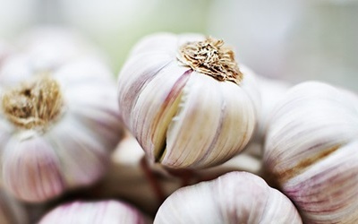 Ngăn ngừa viêm amidan bằng thảo dược thiên nhiên