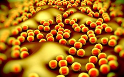 Vũ khí mới chống siêu khuẩn