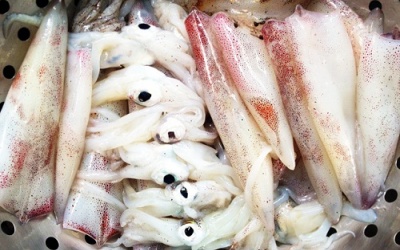 Chọn ghẹ, mực sao cho ngon?