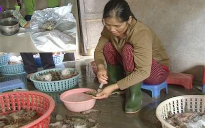 Sau khi bơm tạp chất, tôm chết lập tức tươi rói