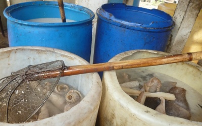 TP HCM: Phát hiện 3 cơ sở sản xuất bì lợn bẩn