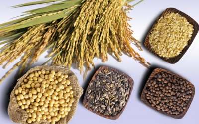 Tạm biệt chế độ kiêng khem Gluten!