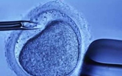 Tuyển tập những phương pháp “mạnh nhất” trong điều trị vô sinh