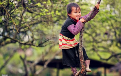 Tăng cường trí nhớ nhờ leo cây