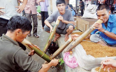Hút thuốc lào có hại như uống thuốc trừ sâu