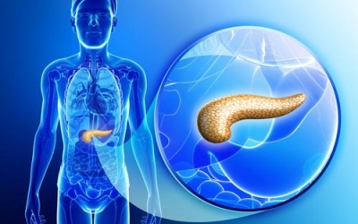 Phát hiện sớm ung thư tuyến tụy nhờ protein