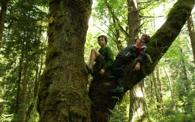 Trèo cây giúp trẻ... thông minh hơn