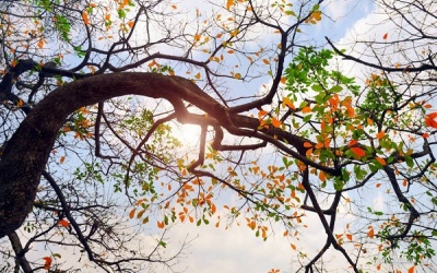 Dự báo thời tiết ngày 6/8: Bắc Bộ hết mưa, trời hửng nắng