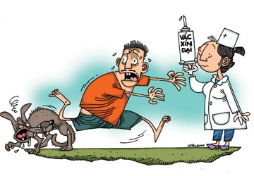 Hơn 16.000 người ở TP.HCM bị súc vật nghi dại cắn trong 6 tháng