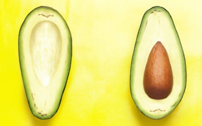 Những món ăn tuyệt ngon từ bơ