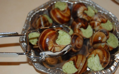 Ăn ốc sên dính viêm màng não