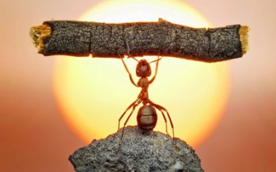 Định dạng với cái 'vô ngã' 