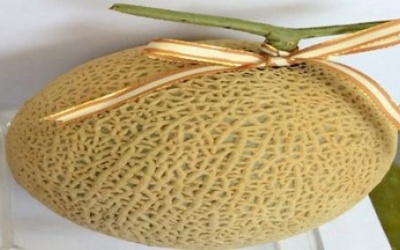 Phân biệt dưa Trung Quốc giả danh dưa lưới Đà Lạt