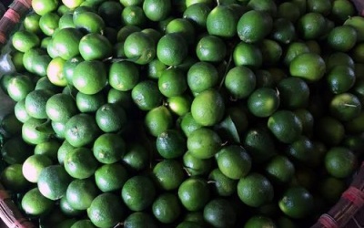 Chanh miền Nam giá tăng 200 lần khi tới Hà Nội