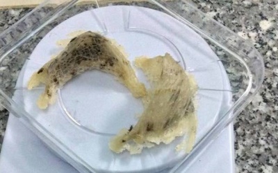 Khi nào nên dùng tổ yến để tẩm bổ?