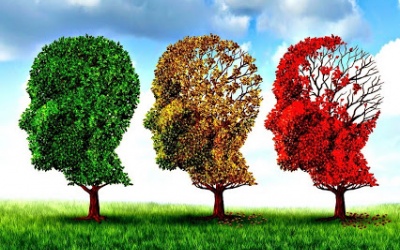 Thuốc nào phòng bệnh Alzheimer? 